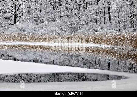 Frosty winter day at frozen river. Stålloppet, Mölndal, Sweden Stock Photo