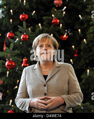 German Chancellor Angela Merkel stands in front of a 30-year-old and seven metre high Nordmann Fir during the official delivery of three Christmas trees to the Chancellery in Berlin, Germany, 25 November 2010. The trees were handed over by the chapter Frankenthal of the Agency of Technical Relief. Photo: Rainer Jensen Stock Photo