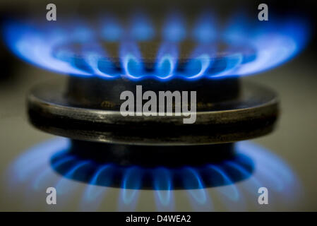 (file) - A dpa file picture dated 09 June 2008 shows the burner of a gas stove in Petersdorf, Germany. After some power companies refunded their customers, consumer protection agencies consider all gas suppliers obligated to  pay. Photo: Patrick Pleul Stock Photo