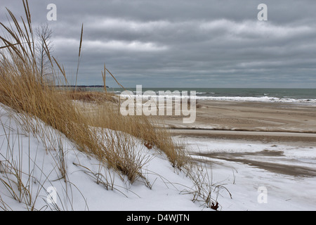 Great Lakes dune grass blowing in the winter breeze. Stock Photo