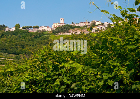 Looking up at buildings of town from Boscaini Carlo vineyards and winery, Valpolicella wine region, Italy Stock Photo