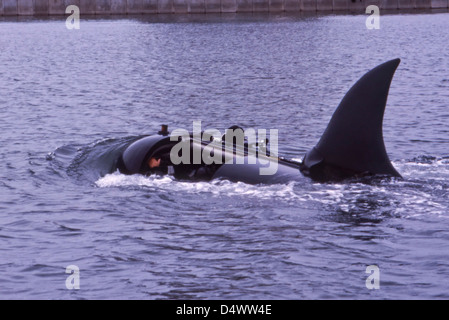 Mark 8 Seal Delivery Vehicle with a large shark-like fin attached. Stock Photo