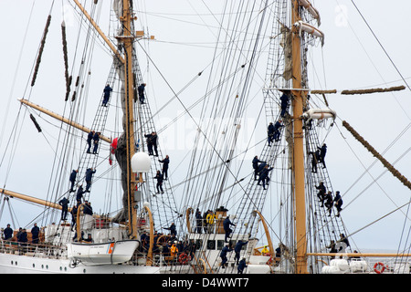 Sailors climbing rigging of US coastguard vessel during Tall ships festival 2008-Victoria, British Columbia, Canada. Stock Photo