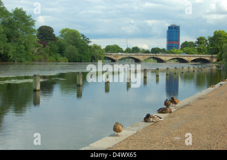 Lake in Hyde Park in London, England Stock Photo