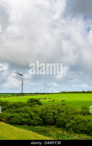 Delabole wind farm surrounded by farmland, Cornwall, England. Stock Photo