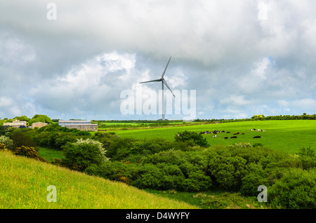 Delabole wind farm surrounded by farmland, Cornwall, England. Stock Photo