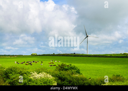 Delabole wind farm surrounded by farmland, Cornwall, England. Stock Photo