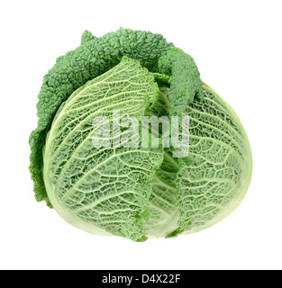 Fresh savoy cabbage head Stock Photo