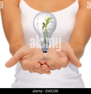 hands with green light bulb Stock Photo