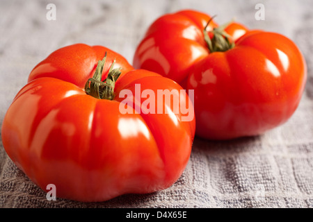 Beefsteak Tomatoes Stock Photo