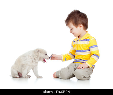 adorable boy playing with a puppy Stock Photo