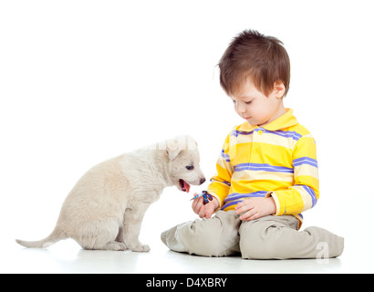 adorable kid boy playing with a puppy Stock Photo