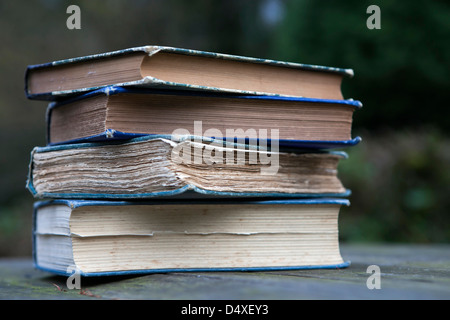 pile of Vintage poetry books, against rural view Stock Photo