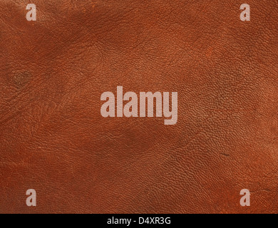Genuine leather background of brown polished shiny animal skin Stock Photo
