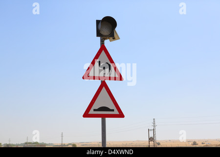 Camel crossing sign, Dubai, United Arab Emirates