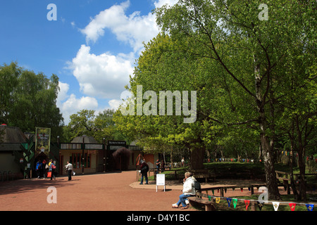 Sherwood Forest visitor park Nottinghamshire England Stock Photo