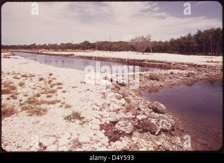 Land Development at Key Largo, near the Northern Tip of the Florida Keys... Stock Photo