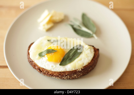 Fried egg, sage and cheese over toast. Stock Photo