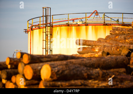 Logs bound for a biofuel power station in Workington next to oil tanks in Workington port, Cumbria, UK. Stock Photo