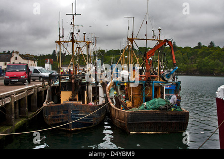 The fishing fleet in the harbour of Stornoway on the Isle of Lewis, Outer Hebrides, Scotland, Stock Photo