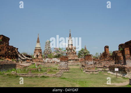 Thailand, Ayutthaya. Wat Mahathat. Traditional Thai bell-shaped Chedi or Stupa temples, with Prang wat in distance. Stock Photo