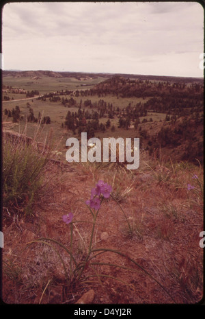 The Roy Fly ranch in Sarpy Basin, 06/1973 Stock Photo