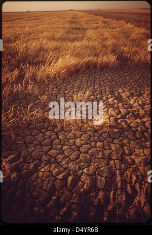 Cracked earth--a result of irrigation and intense dry heat, May 1972 Stock Photo