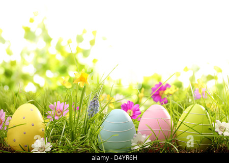 Easter eggs on meadow with spring flower Stock Photo