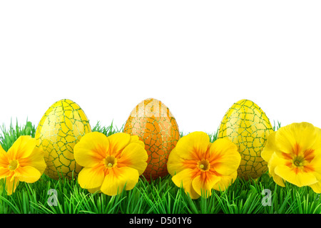 Easter eggs on green grass and white background Stock Photo
