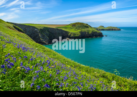 Com Head and Rumps Point on the Pentire Headland near Polzeath, Cornwall, England. Stock Photo