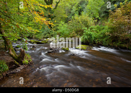 The River Vartry flowing through the Devil's Glen, County Wicklow, Ireland. Stock Photo