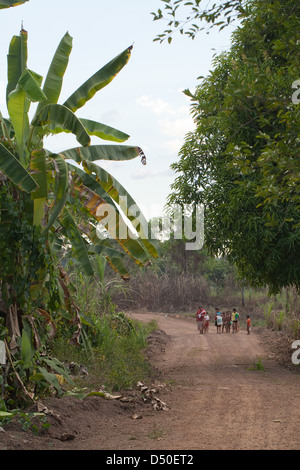 Amerindian extended family group of a mother and girls and boys of Arawak tribe, on their way down to the river to wash clothes. Stock Photo