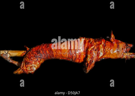 suckling pig on a spit Stock Photo