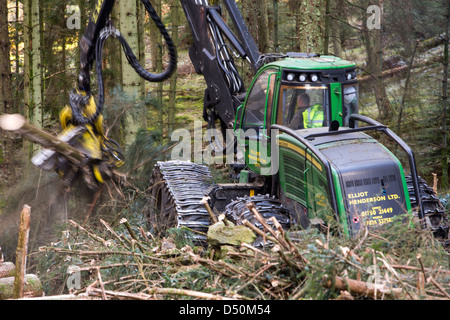 A forwarder harvesting timber in Grizedale Forest, Lake District, UK. Stock Photo