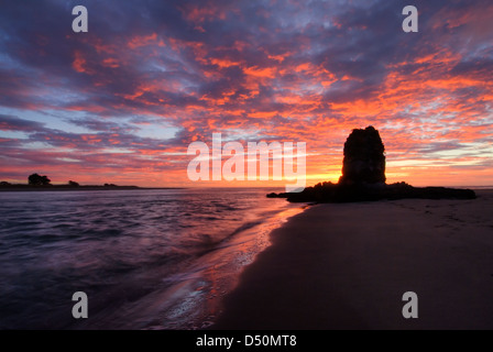 Shag rock at sunrise, Christchurch, New Zealand Stock Photo