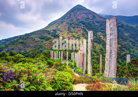 Steles containing centuries old sutra along Wisdom path at the hills of Ngong Ping on Lantau Island, Hong Kong, China. Stock Photo