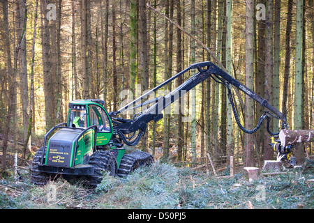 A forwarder harvesting timber in Grizedale Forest, Lake District, UK. Stock Photo