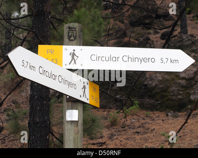 Signpost for hikers in Tenerife, circular footpath around the volcano Chinyero, easy to navigate Stock Photo