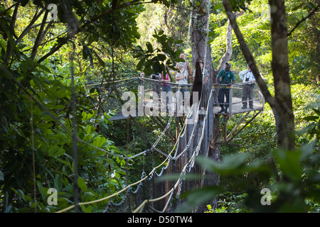 Iwokrama Canopy Walkway and ecotourists birdwatching with a local guide. Platform, and connecting slung bridging. Guyana. Stock Photo