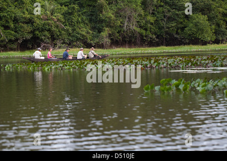 Eco-tourists with a local Amerindian Guide paddling in a dugout canoe around an ox-bow lake deviating from the River Rewa Guyana Stock Photo