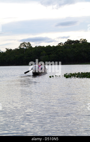 Eco-tourists with a local Amerindian Guide paddling in a dugout canoe around an ox-bow lake deviating from the River Rewa Guyana Stock Photo