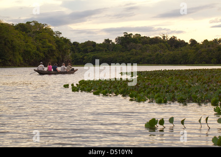 Eco-tourists with a local Amerindian Guide paddling in a dugout canoe around an ox-bow lake deviating from the River Rewa Guyana Stock Photo