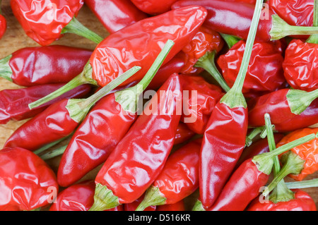 red peppers isolated on white Stock Photo