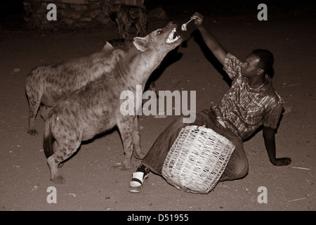 Local man feeding the Hyenas, Harar, Ethiopia Stock Photo