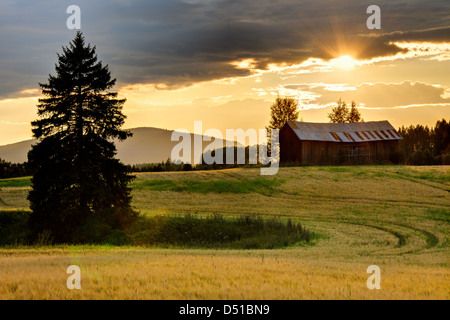Sunset over farmland, Bollnäs, Hälsingland, Sweden, Europe Stock Photo