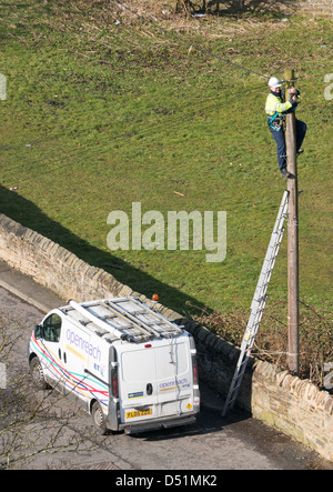 BT Openreach engineer working up a telegraph pole Bishop Auckland, north east England, UK Stock Photo