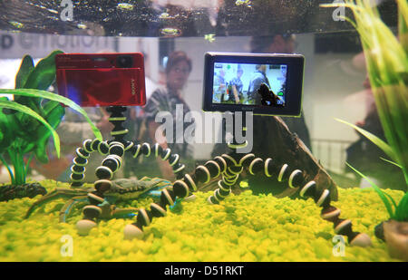 Underwater  cameras by Sony at Photokina 2010 trade fair in Cologne, Germany, 25 September 2010. The world's leading fair for photography and imaging takes place from 21 to 26 September. Photo: Julian Stratenschulte Stock Photo