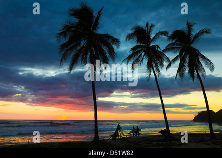 Palm trees and surfers at sunset on Playa Guiones surf beach, Nosara, Nicoya Peninsula, Guanacaste Province, Costa Rica Stock Photo