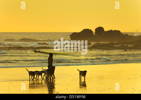 Surfer with dogs at sunset on Playa Guiones beach, Nosara, Nicoya Peninsula, Guanacaste Province, Costa Rica, Central America Stock Photo