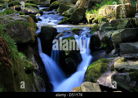 Slow shutter speed image of a small waterfall tumbling over mossy rocks in a wooded glen at Ballaglass Glen on the Isle of Man Stock Photo